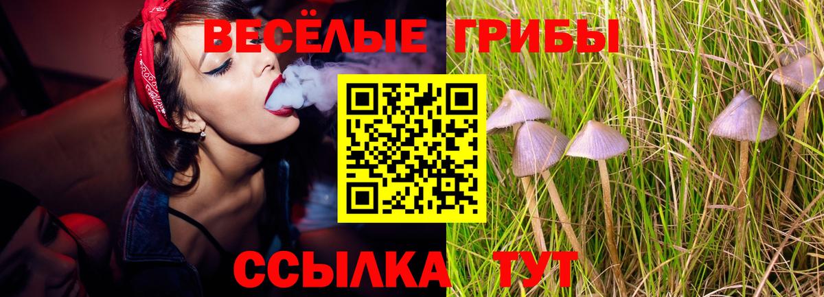 Новоалександровск  Галлюциногенные грибы Psilocybine cubensis  Галлюциногенные грибы мухоморы  Вход с VPN 